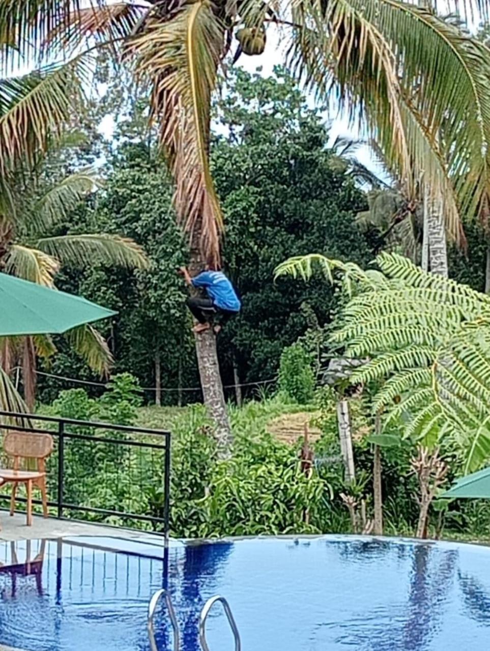 Sekumpul Bali Hidden Space Singaraja Kültér fotó