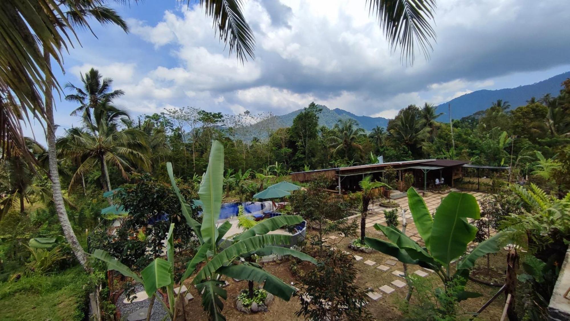 Sekumpul Bali Hidden Space Singaraja Kültér fotó